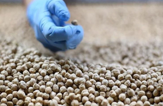 Güneydoğu'nun 3 aylık hububat, bakliyat, yağlı tohum ihracatı 836,5 milyon dolara ulaştı