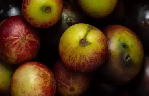 Limondan 60 kat fazla C vitamini içeriyor