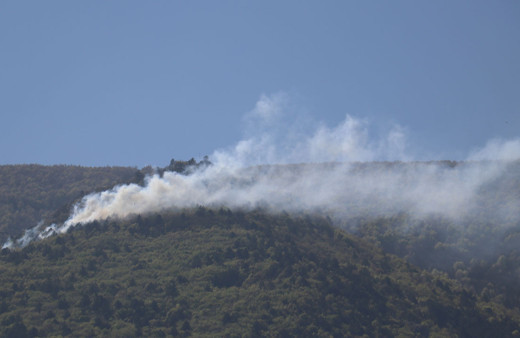 Bursa'da, Uludağ eteklerinde orman yangını çıktı