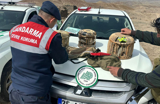 Keklik avlayan 2 kişiye 57 bin 406 lira ceza kesildi