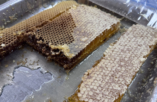 Tunceli'de üretilen "Munzur Balı" coğrafi işaret aldı