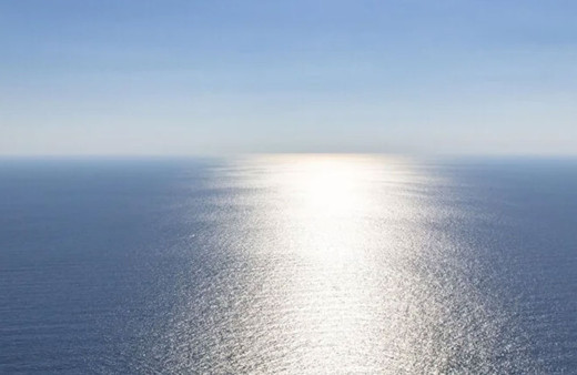 Dinozorlar Çağı'nda yaşamış dev deniz sürüngeni türü keşfedildi