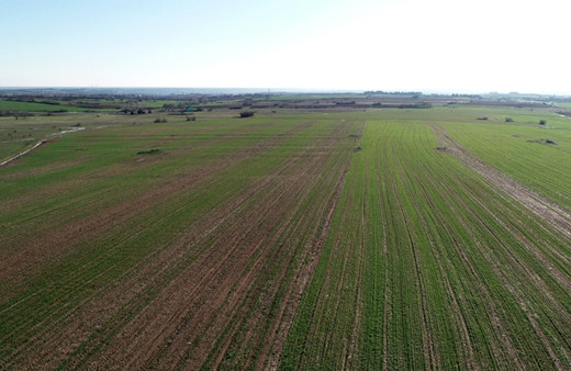 40 yıllık arazi paylaşma sorunu arabuluculukla 1 ayda çözüldü