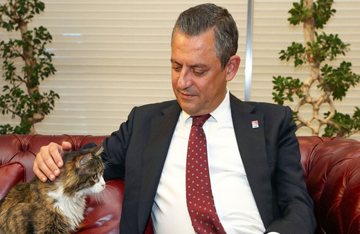 Özgür Özel'den CHP'nin kedisi "Şero" paylaşımı