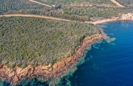 İzmir'de ormanlık alanlara giriş 31 Ekim'e kadar yasaklandı