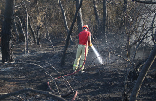 Adana'daki orman yangınları kontrol altına alındı