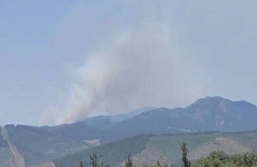 Bursa'da orman yangını çıktı! Ekipler bölgede...