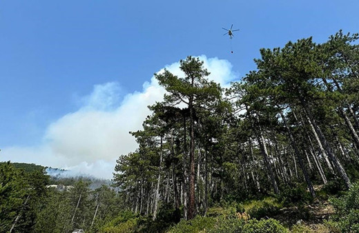 Adana'da orman yakan PKK'lı terörist hakkında verilen cezayla ilgili son sözü Yargıtay söyledi