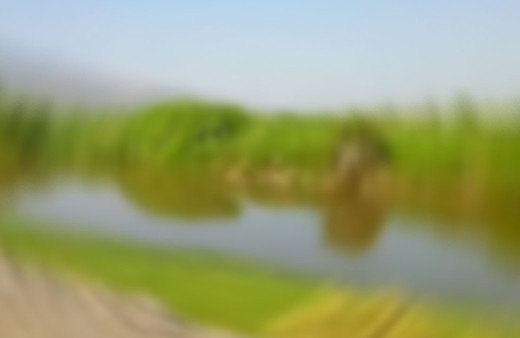 Elazığ'da Murat Nehri'ne giren 14 yaşındaki çocuk kayboldu