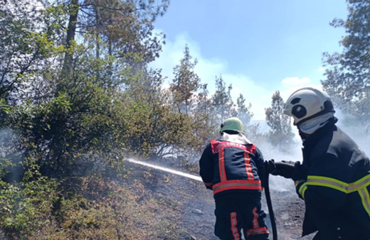 Tokat'ta orman yangını çıktı! Validen açıklama geldi