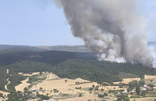 Çanakkale'de orman yangını! Bölgedeki köylülere uyarı: "Teyakkuzda olun"