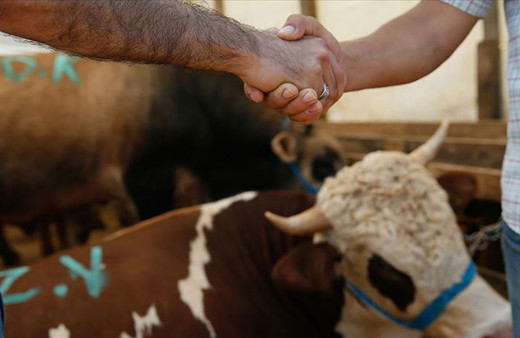  Çevre, Şehircilik ve İklim Değişikliği Bakanlığı tedbirleri artırdı! Umuma açık yerlerde kurban kesene 4 bin 810 lira ceza uygulanacak