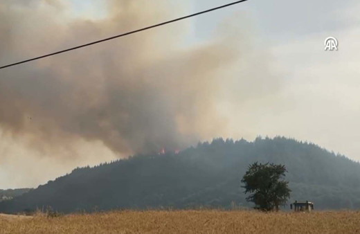 Uşak'ta tarım arazisinde çıkan yangın ormanlık alana sıçradı