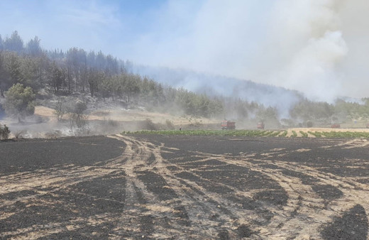 Çanakkale'de orman yangını çıktı!