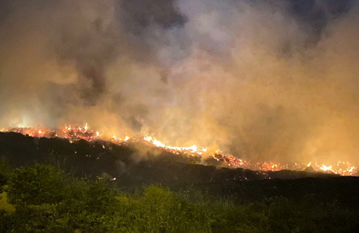 Sarıyer'de otluk alanda korkutan yangın