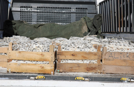 Van'da tuzlanarak kurutulmuş 5 ton inci kefali ele geçirildi