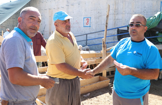 Bakanlıktan açıklama! Satılmayan kurbanlık hayvanlar ESK tarafından satın alınacak: İşte alım fiyatları...