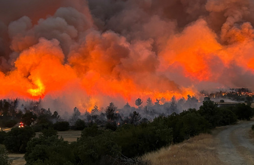 Uşak'ta orman yangını! Ekiplerin müdahalesi sürüyor