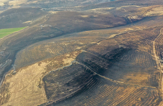 Diyarbakır ve Mardin'de anız yangınında ölenlerin sayısı 11'e yükseldi