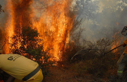 Haziran'da ağustos sıcağı yaşandı! Orman yangınları geçen yıla göre yaklaşık 5 kat arttı