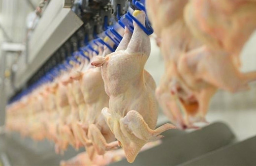 Lezita İSO 500'de bu yıl 12 sıra yükseldi