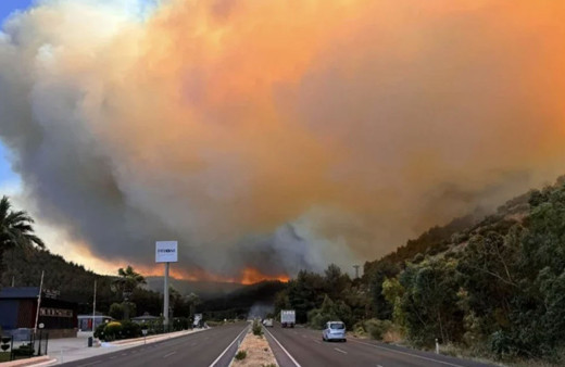 Bakan İbrahim Yumaklı, İzmir'deki orman yangınına ilişkin son durumu açıkladı