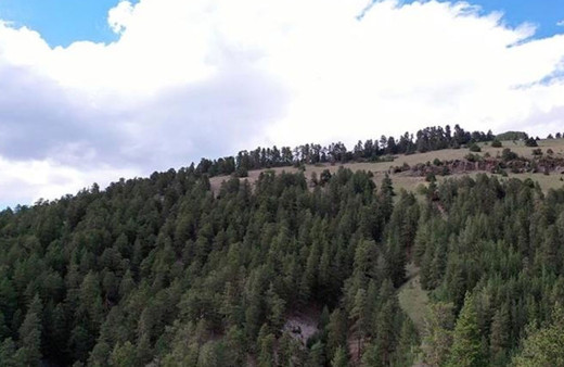 Konya'da ormanlık alanlara girişler 30 Eylül'e kadar yasaklandı