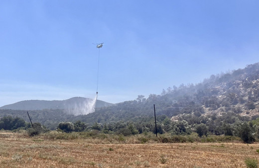 Muğla Milas'ta çıkan orman yangını kontrol altına alındı