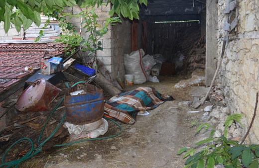 Isparta'da boğa dehşeti ahırda feci ölüm