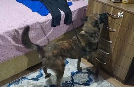 Antalya'da uyuşturucu operasyonu: 89 kişi yakalandı