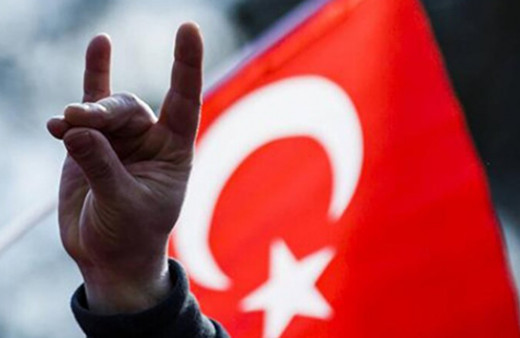 İyi Parti'den Bozkurt kanunu teklifi TBMM'ye geldi! Ulusal sembol olsun