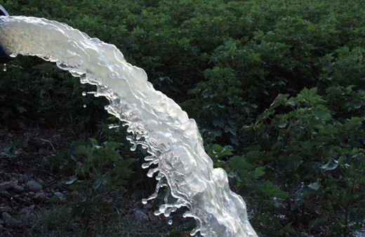 Antalya'da içme suyuyla bahçe sulayanların aboneliği iptal ediliyor