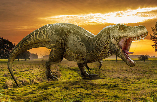 İngiltere'de yeni bir dinozor türüne ait fosil bulundu