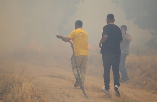 Edirne'de Bulgaristan sınırındaki orman yangınına müdahale ediliyor