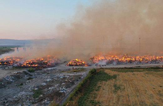Aydın'da kağıt fabrikası yanıyor! Alevler her yeri sardı