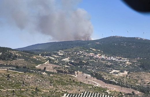Soma'da orman yangını çıktı! Ekipler bölgede....