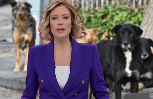 Gülbin Tosun'dan, Cumhurbaşkanı Erdoğan'a 'ayaklanma' tehdidi! Ünlü sunucuya tepki yağdı