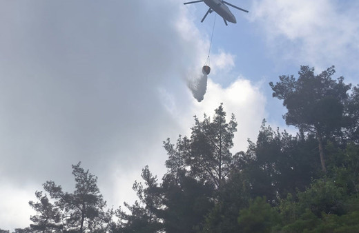 Hatay'da orman yangını çıktı! Havadan ve karadan müdahale sürüyor
