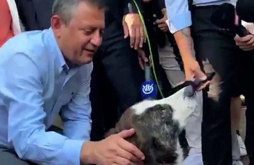 Özgür Özel sokak köpeğiyle konuştu: Meclis'i duyunca...