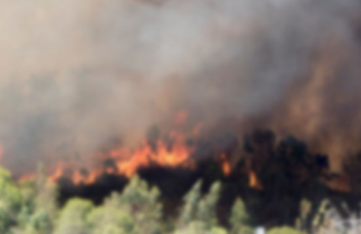 Orman yangını çıktı! Havadan ve karadan müdahale başladı