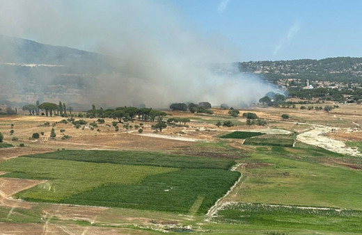 Milas'ta ikinci orman yangını çıktı