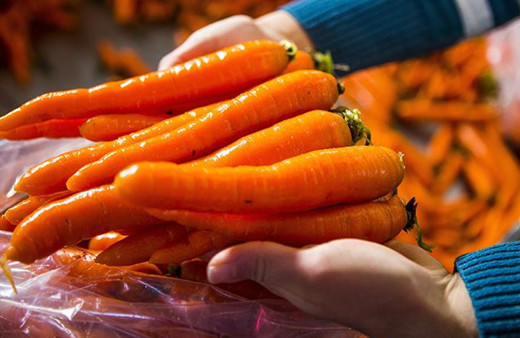 Havuç kabuğundan elde edilen melanin bileşiğinin antikanser özelliği belirlendi