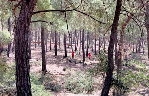 Mersin'de 80 yaşındaki Alzheimer hastası kayboldu