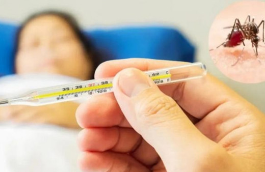 Dang humması kabusu yayılıyor! 11 milyon şüpheli vaka...