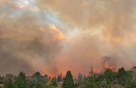 Kahramanmaraş'taki korkutan yangın kontrol altına alındı