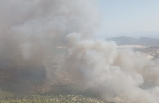 Ciğerlerimiz yanıyor! 3 ilde orman yangını büyüyor