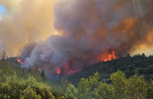 Çanakkale'de orman yangını! Havadan ve karadan müdahale başladı, bölge ziyarete kapatıldı