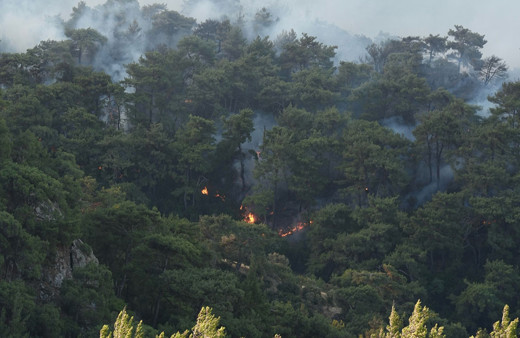 İzmir'de orman yangını! Havadan müdahale yeniden başladı