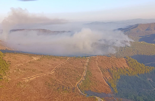 Manisa'daki orman yangınlarına müdahale sürüyor