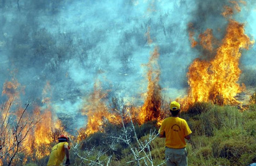 Didim'de çıkan yangın! Yeni gelişme